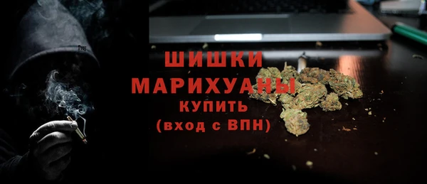 PSILOCYBIN Карпинск