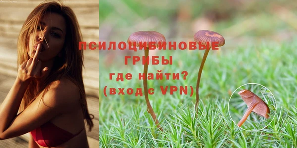 PSILOCYBIN Карпинск