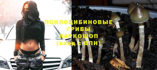 герыч Касимов