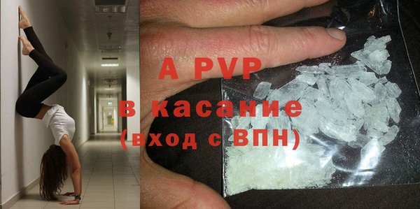PSILOCYBIN Карпинск