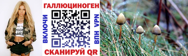 Галлюциногенные грибы мицелий Купить где Артём